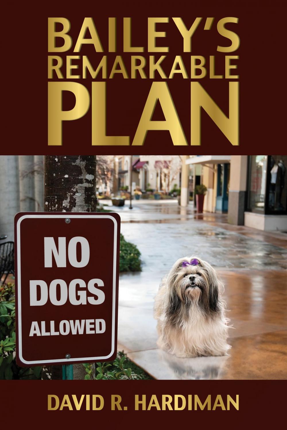 Big bigCover of Bailey's Remarkable Plan