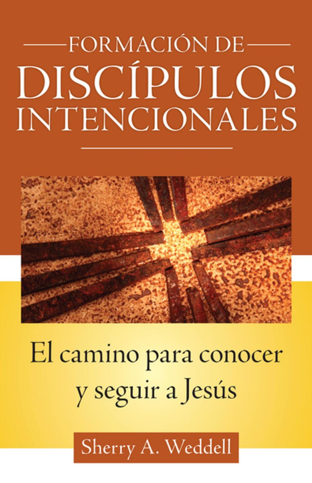 Big bigCover of Forming Intentional Disciples