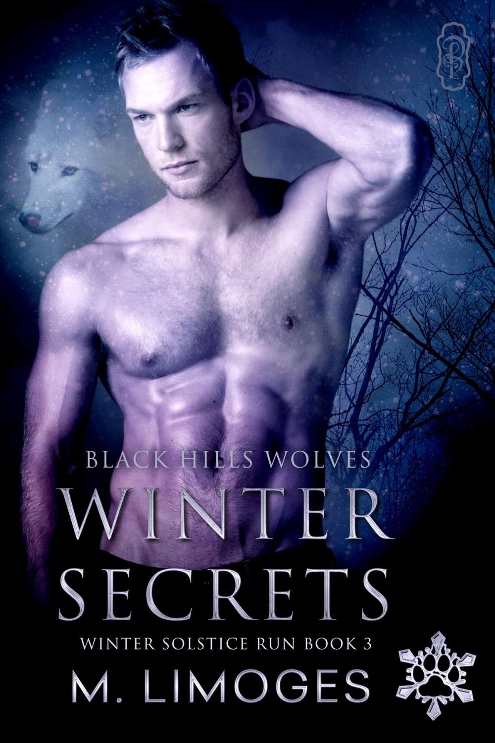 Big bigCover of Winter Secrets