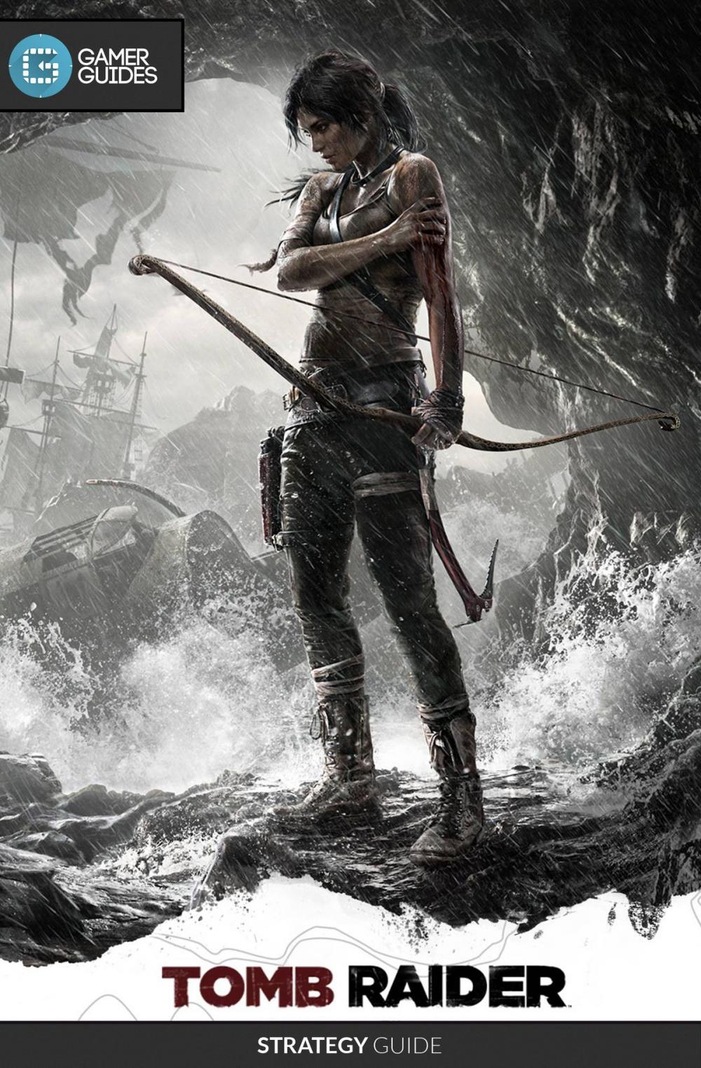 Big bigCover of Tomb Raider (2013)