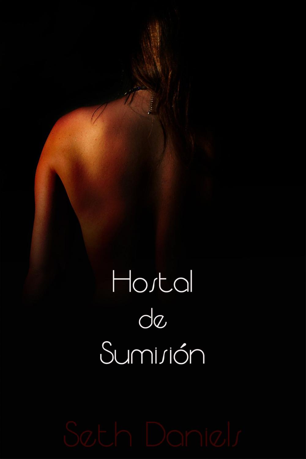 Big bigCover of Hostal de Sumisión