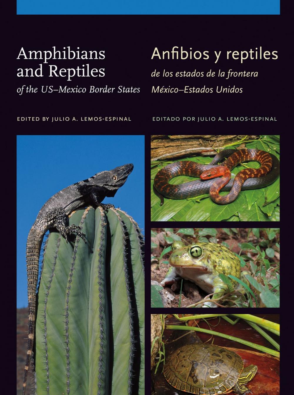 Big bigCover of Amphibians and Reptiles of the US–Mexico Border States/Anfibios y reptiles de los estados de la frontera México–Estados Unidos