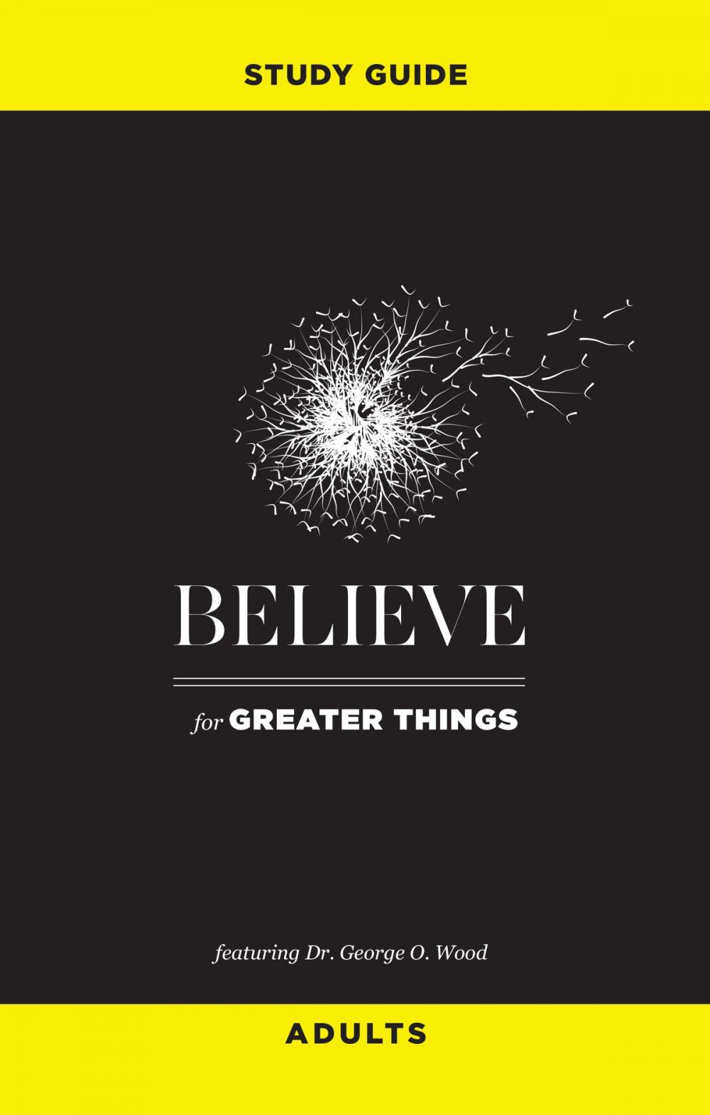 Big bigCover of Believe for Greater Things Study Guide