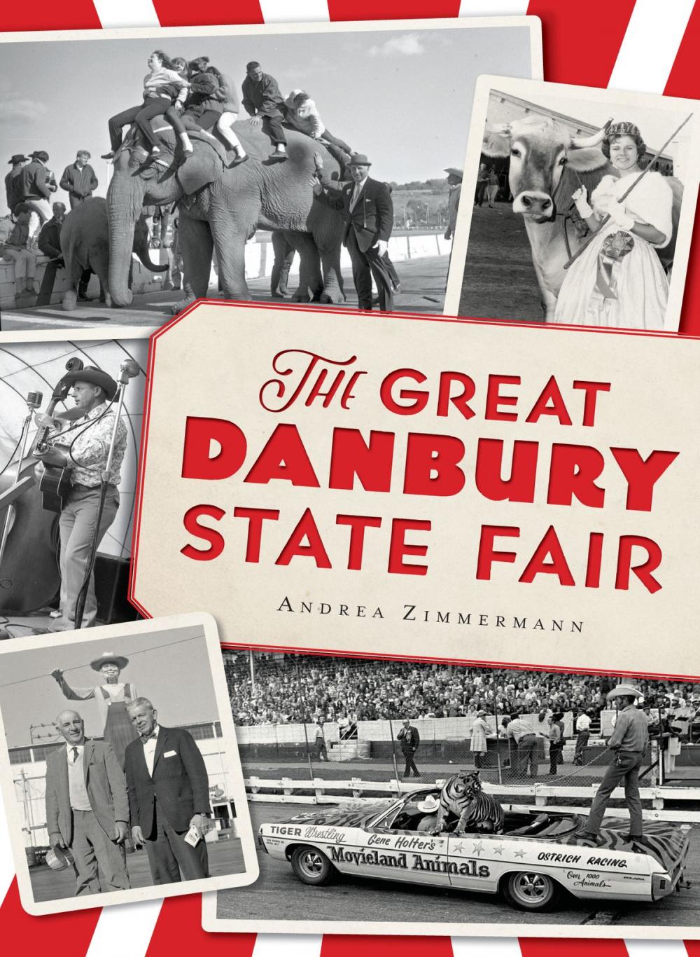 Big bigCover of The Great Danbury State Fair