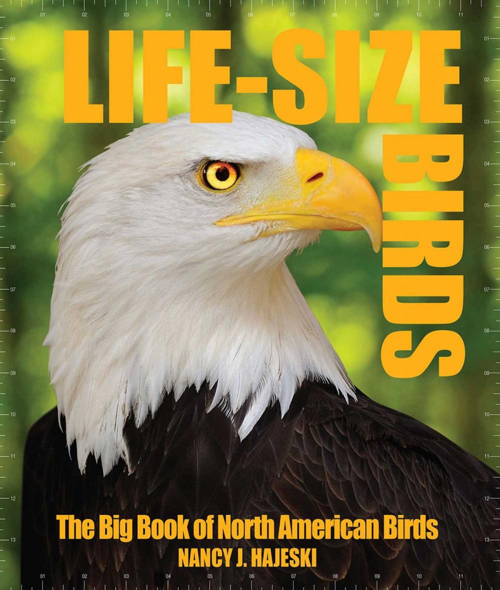 Big bigCover of Life-Size Birds