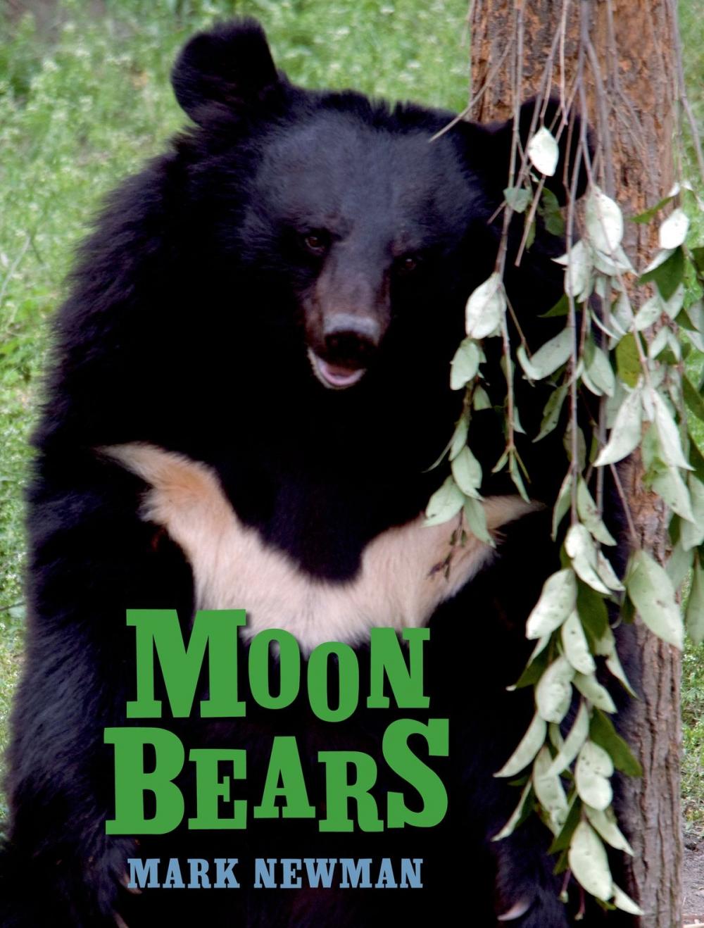 Big bigCover of Moon Bears