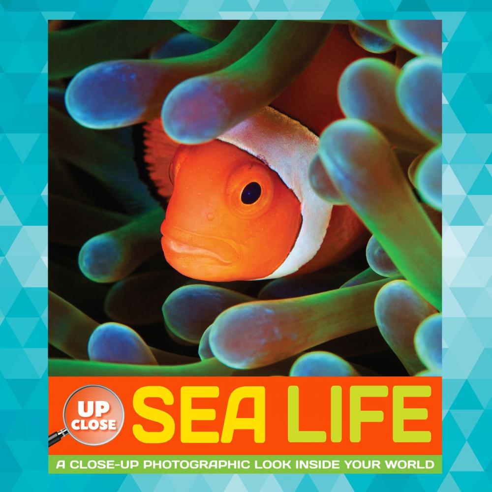 Big bigCover of Sea Life