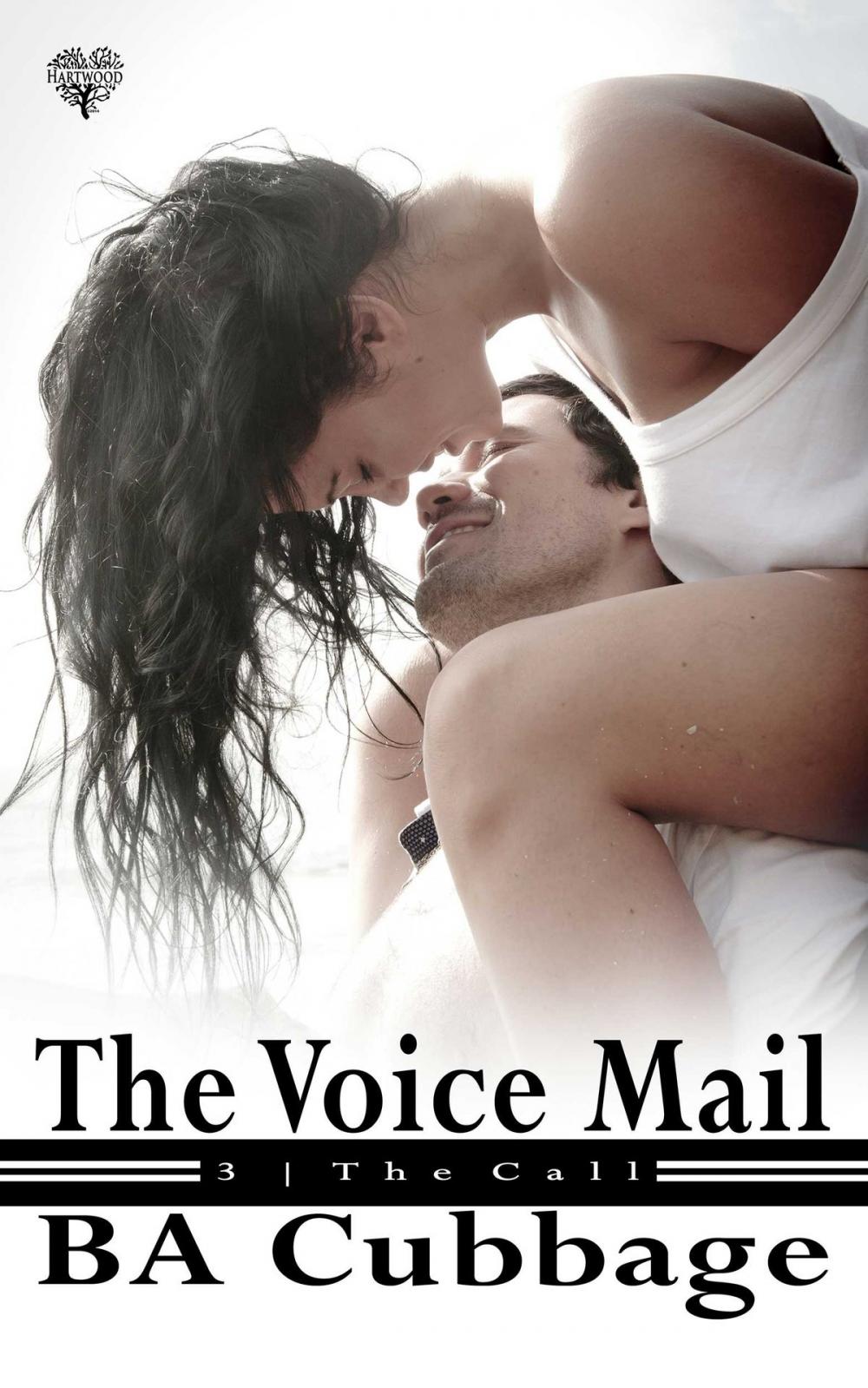 Big bigCover of The Voice Mail