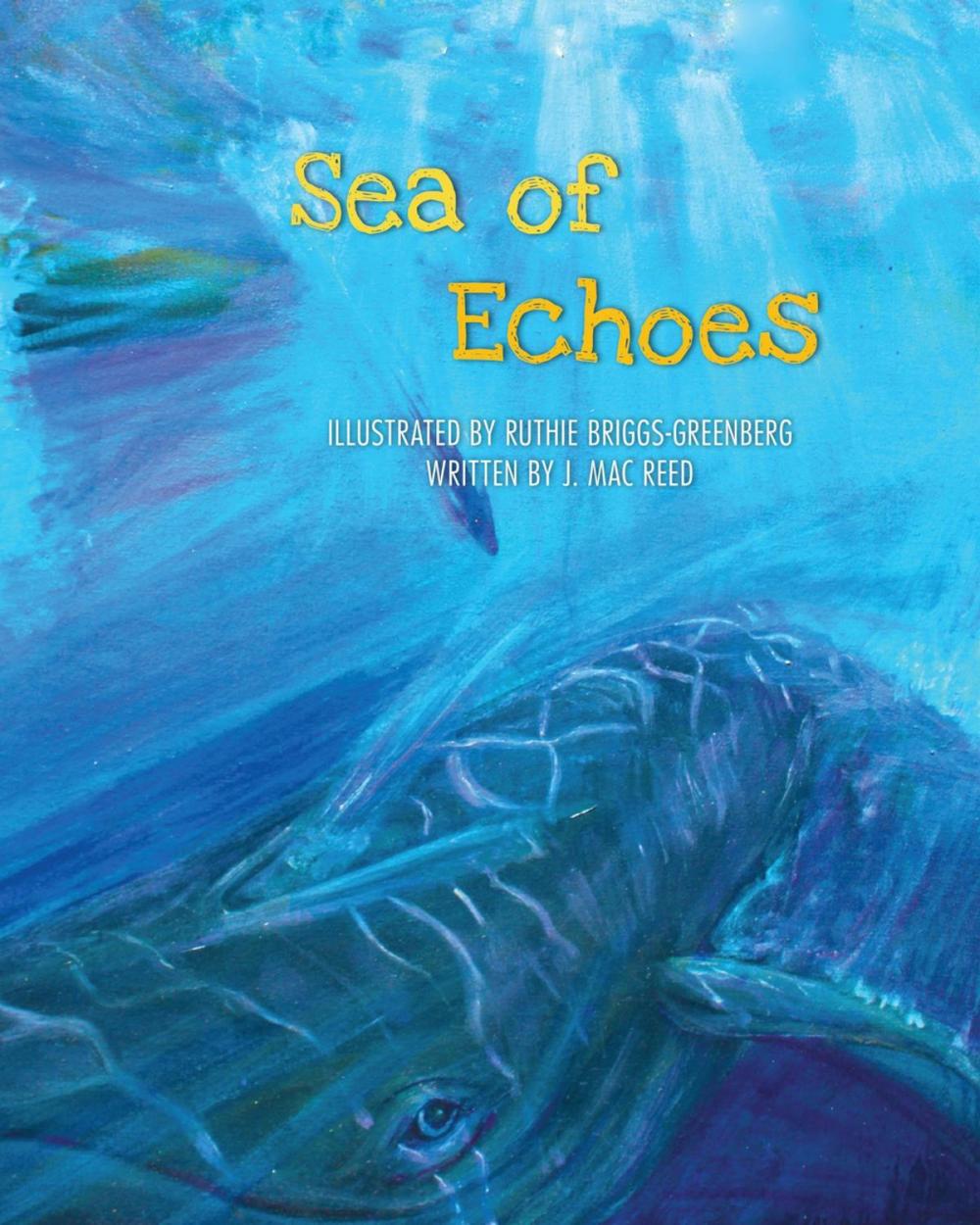 Big bigCover of Sea of Echoes