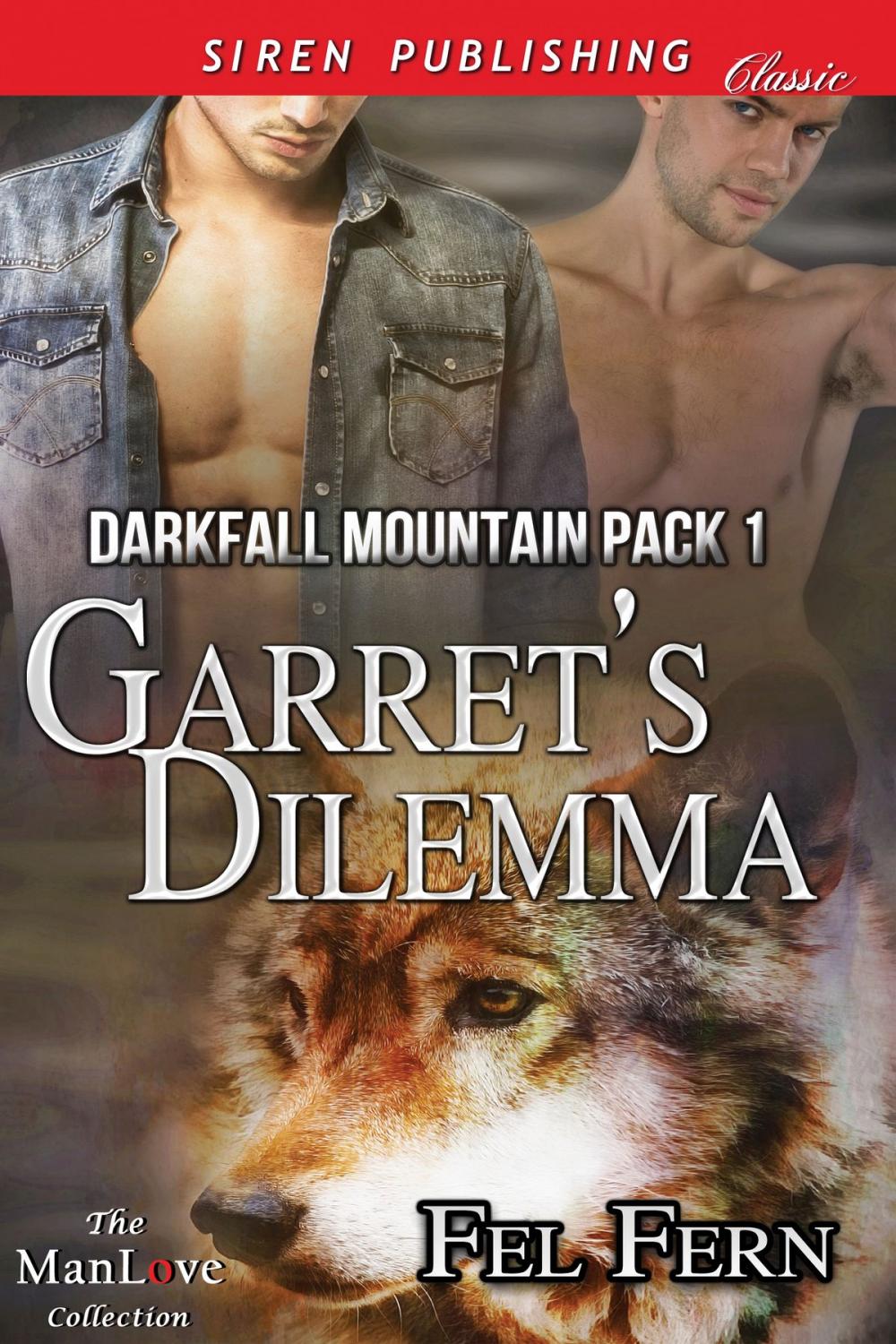 Big bigCover of Garret's Dilemma