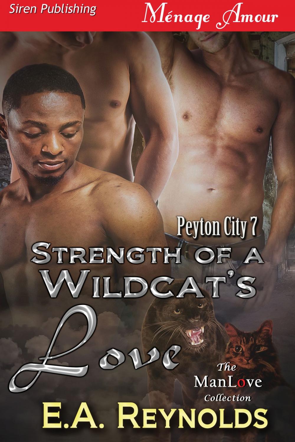 Big bigCover of Strength of a Wildcat's Love