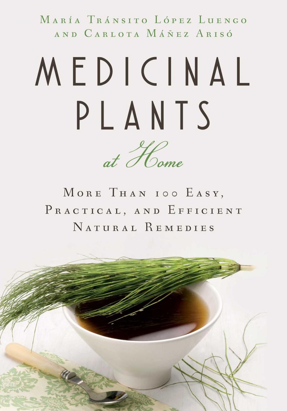 Big bigCover of Medicinal Plants at Home