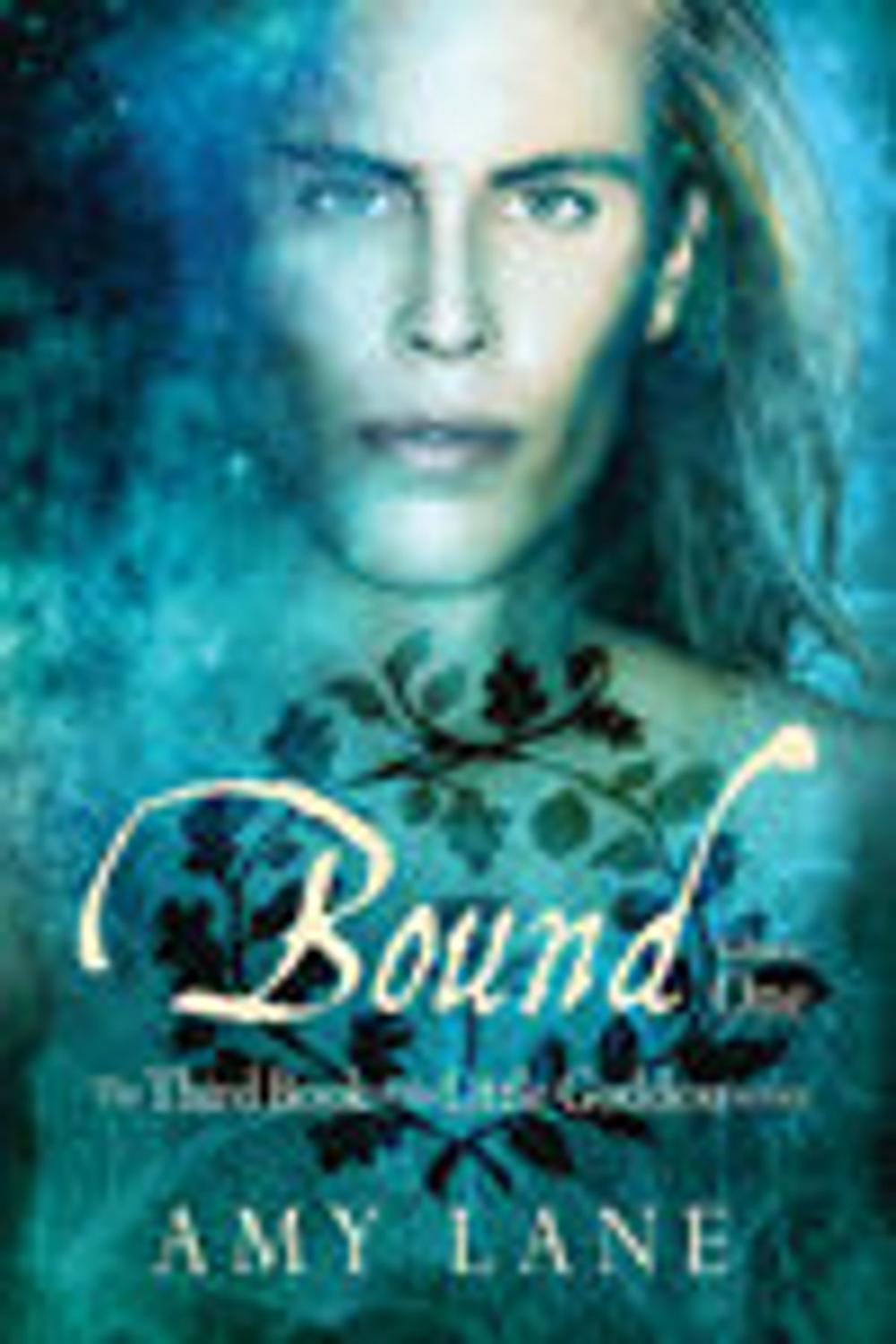 Big bigCover of Bound, Vol. 1