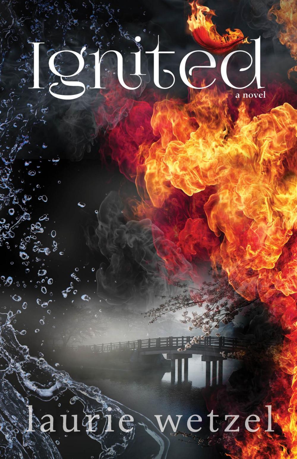 Big bigCover of Ignited