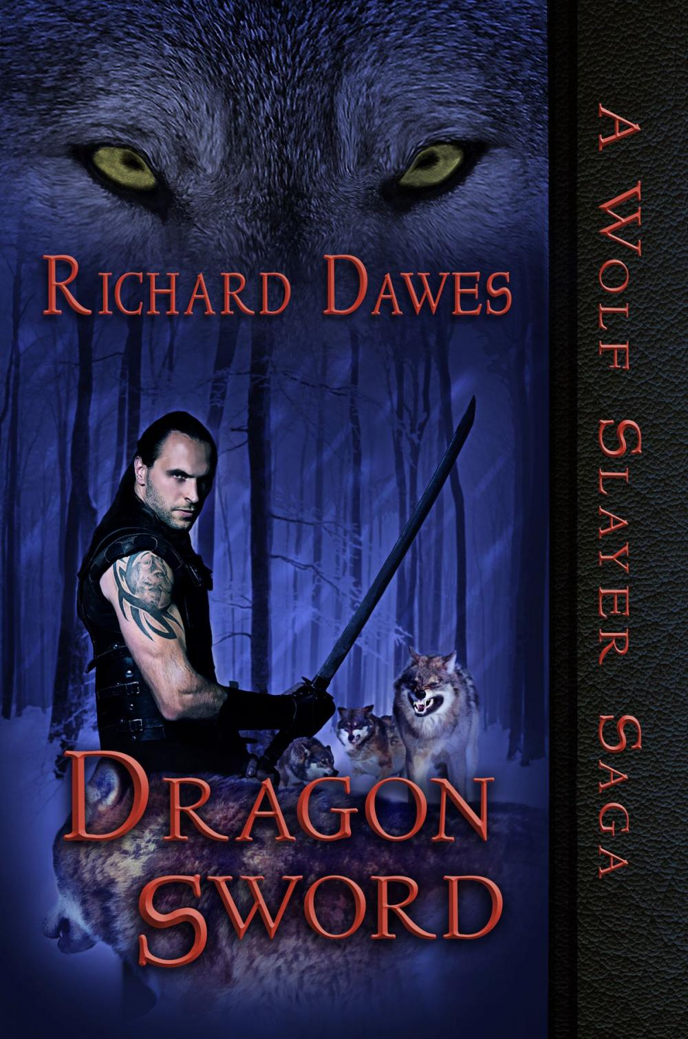 Big bigCover of Dragon Sword