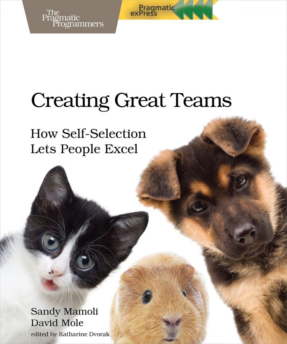 Big bigCover of Creating Great Teams