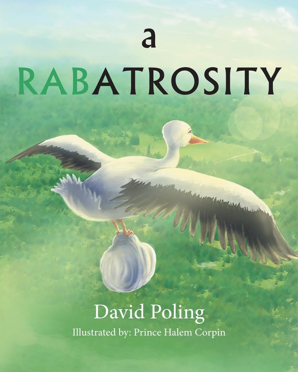 Big bigCover of A RABATROSITY