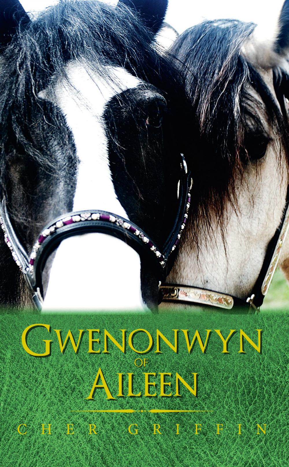 Big bigCover of Gwenonwyn of Aileen