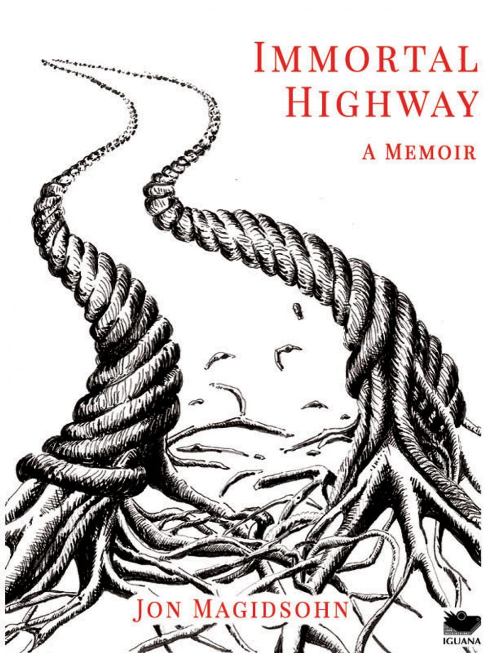 Big bigCover of Immortal Highway