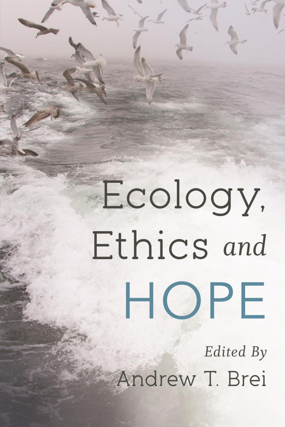 Big bigCover of Ecology, Ethics and Hope