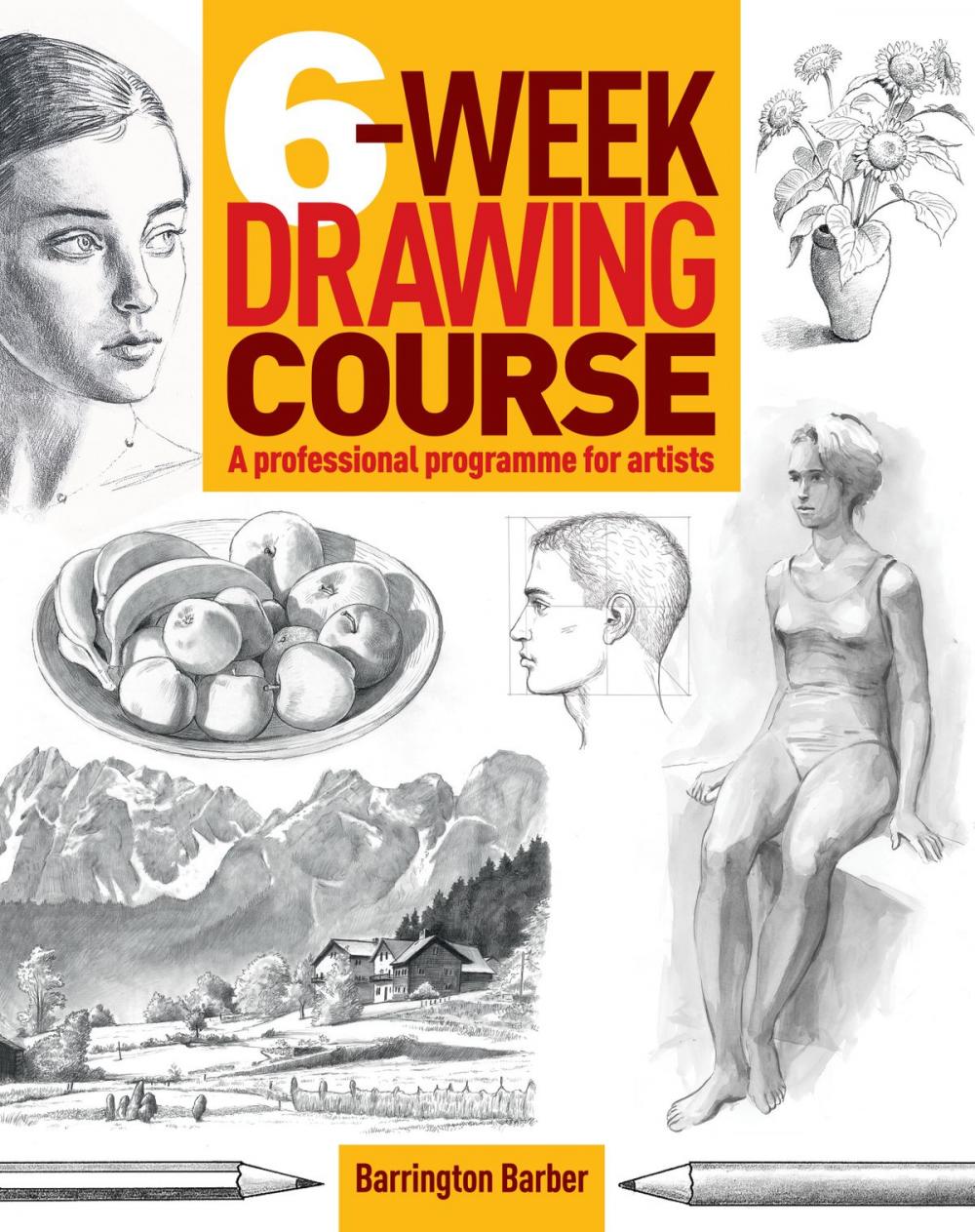 Big bigCover of 6-Week Drawing Course