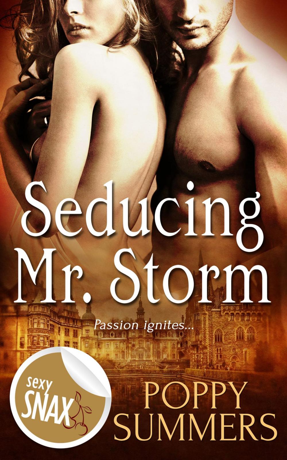 Big bigCover of Seducing Mr. Storm