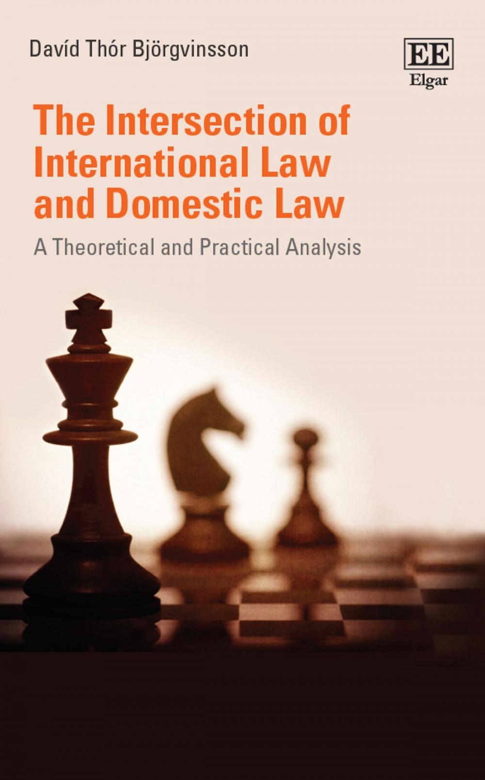 Big bigCover of The Intersection of International Law and Domestic Law