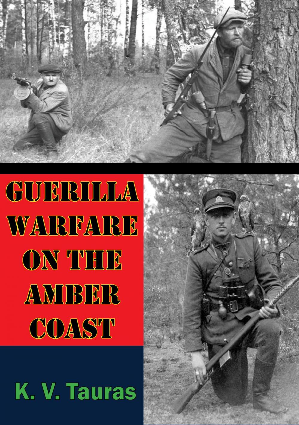 Big bigCover of Guerilla Warfare On The Amber Coast