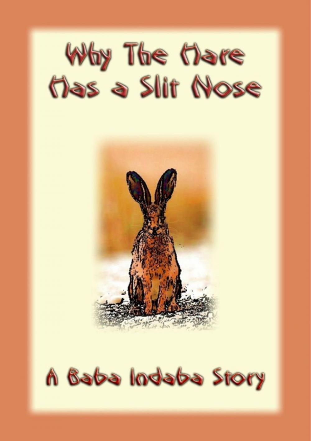 Big bigCover of Why the Hare Has A Slit Nose