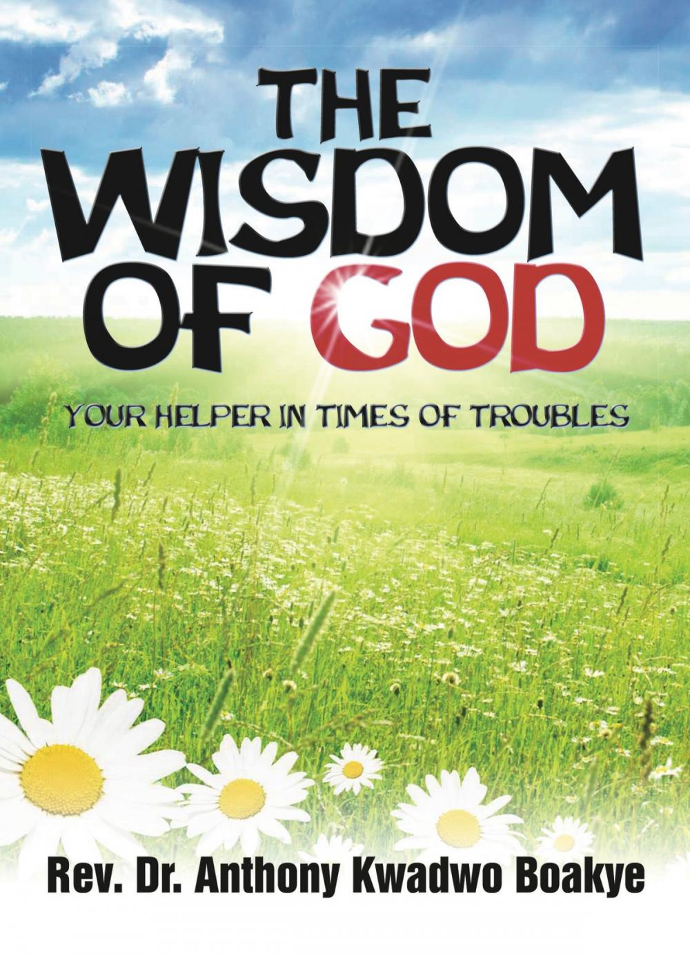 Big bigCover of The Wisdom of God