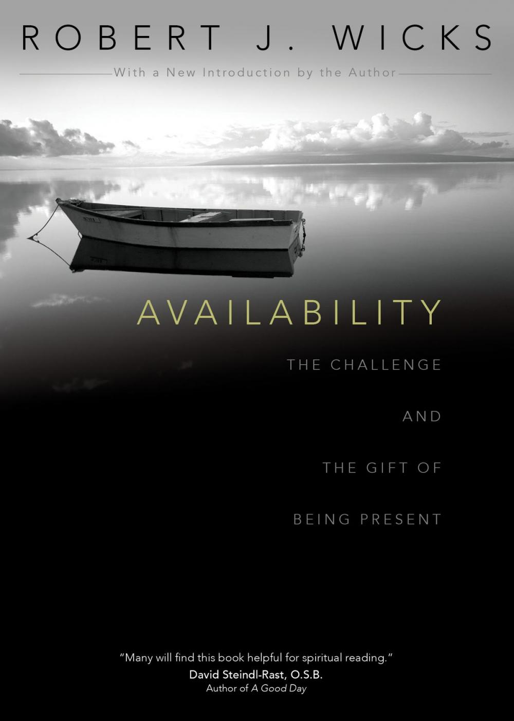 Big bigCover of Availability