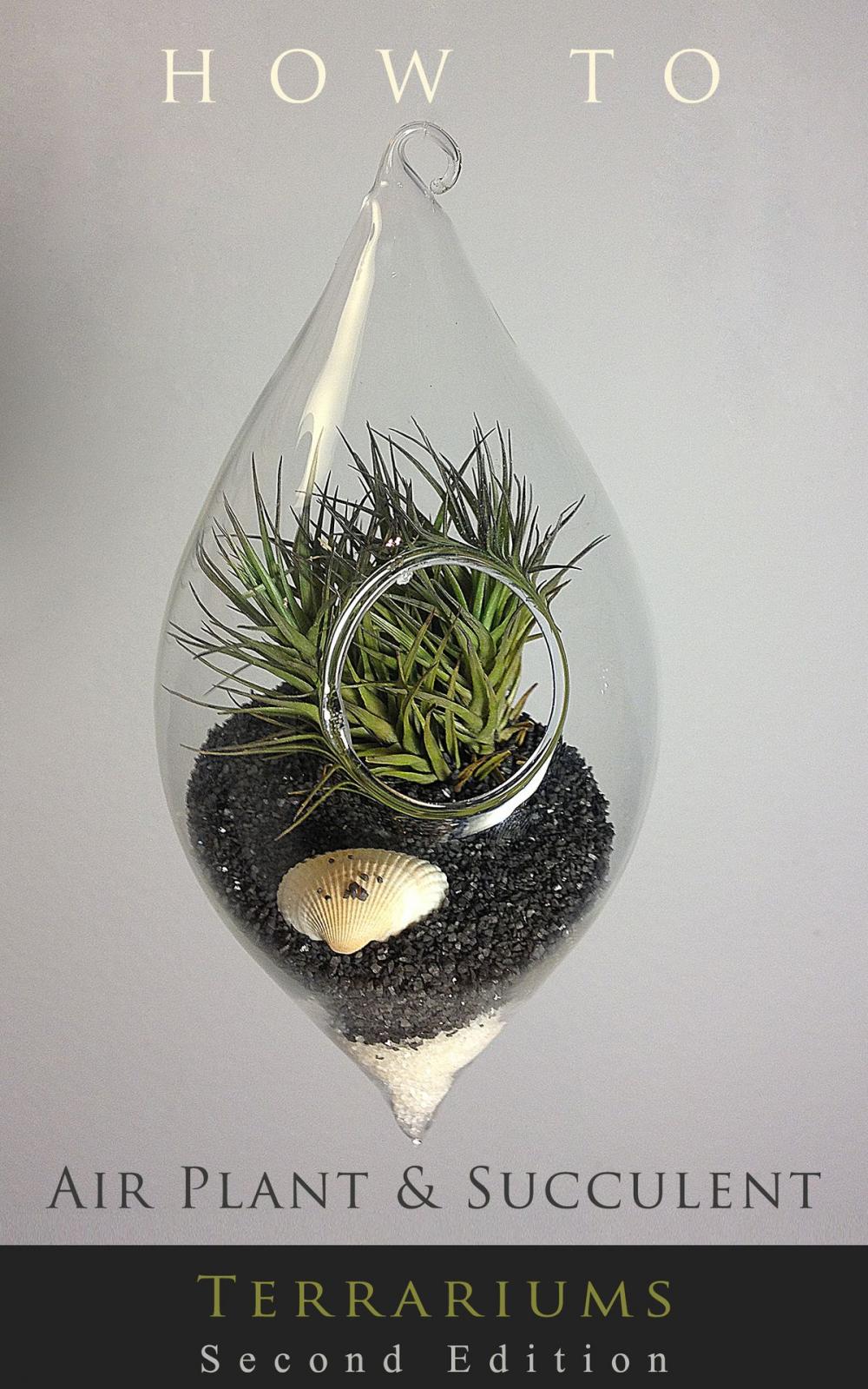 Big bigCover of How to... Air Plant and Succulent Terrariums