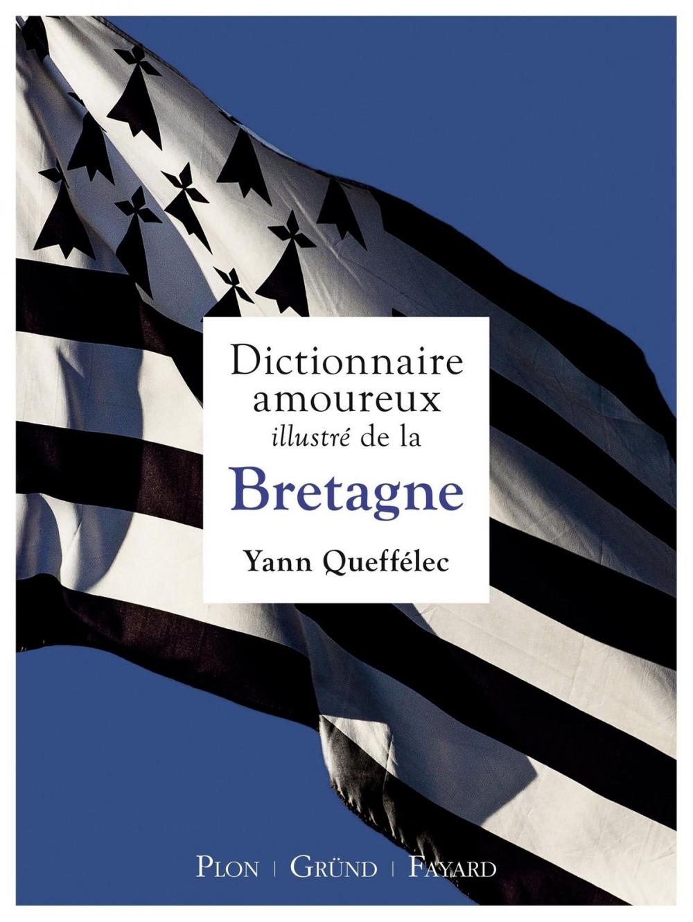 Big bigCover of Dictionnaire amoureux illustré de la Bretagne