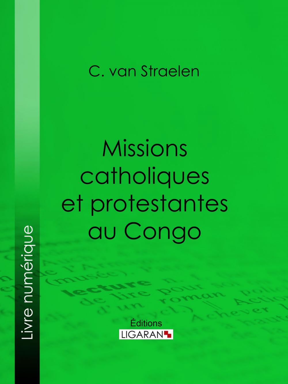 Big bigCover of Missions catholiques et protestantes au Congo