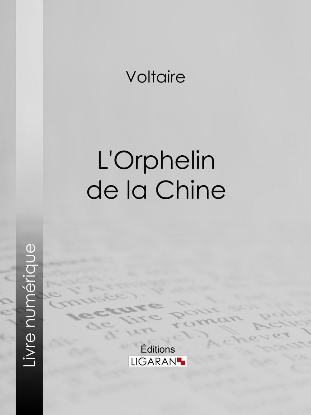 Big bigCover of L'Orphelin de la Chine