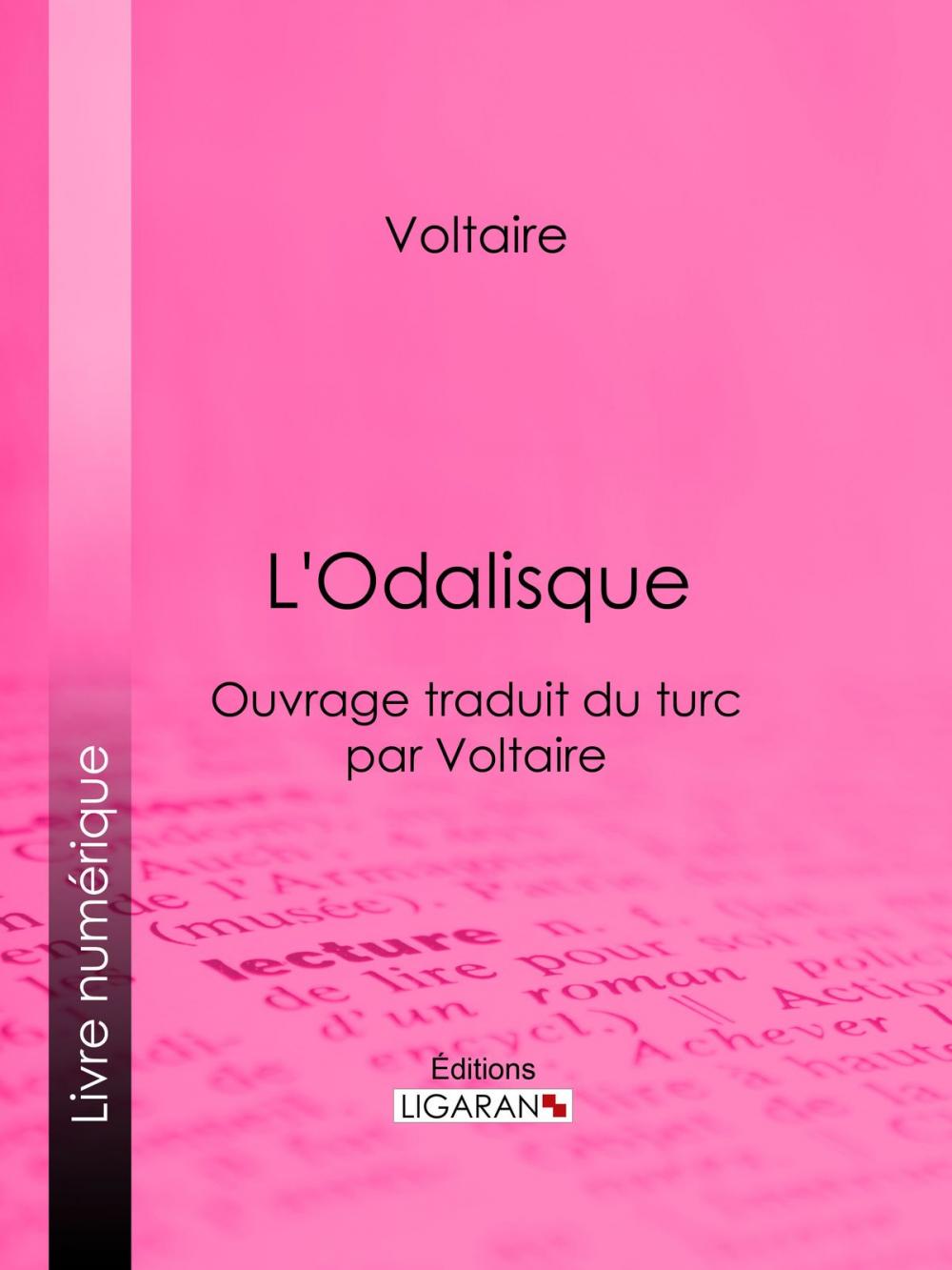 Big bigCover of L'Odalisque