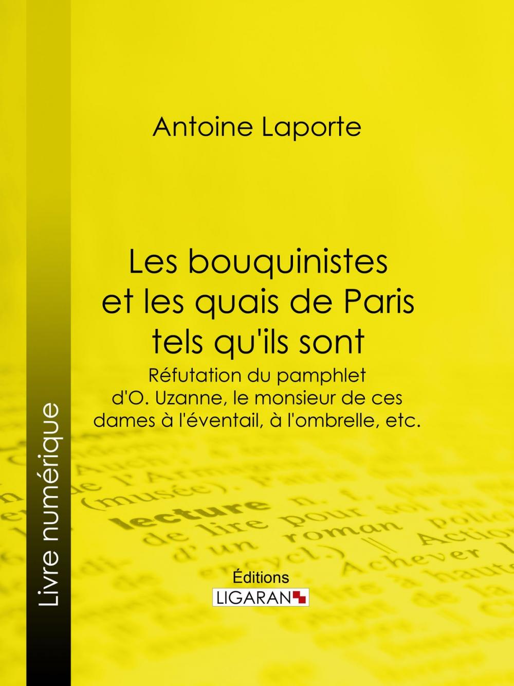 Big bigCover of Les bouquinistes et les quais de Paris tels qu'ils sont