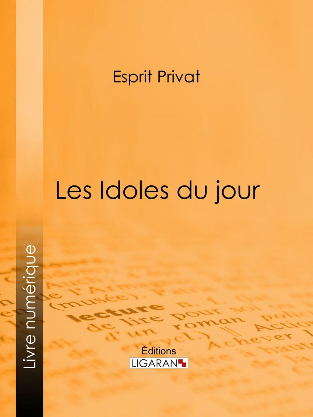 Big bigCover of Les Idoles du jour