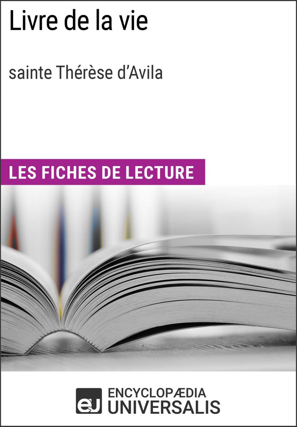 Big bigCover of Livre de la vie de sainte Thérèse d'Avila