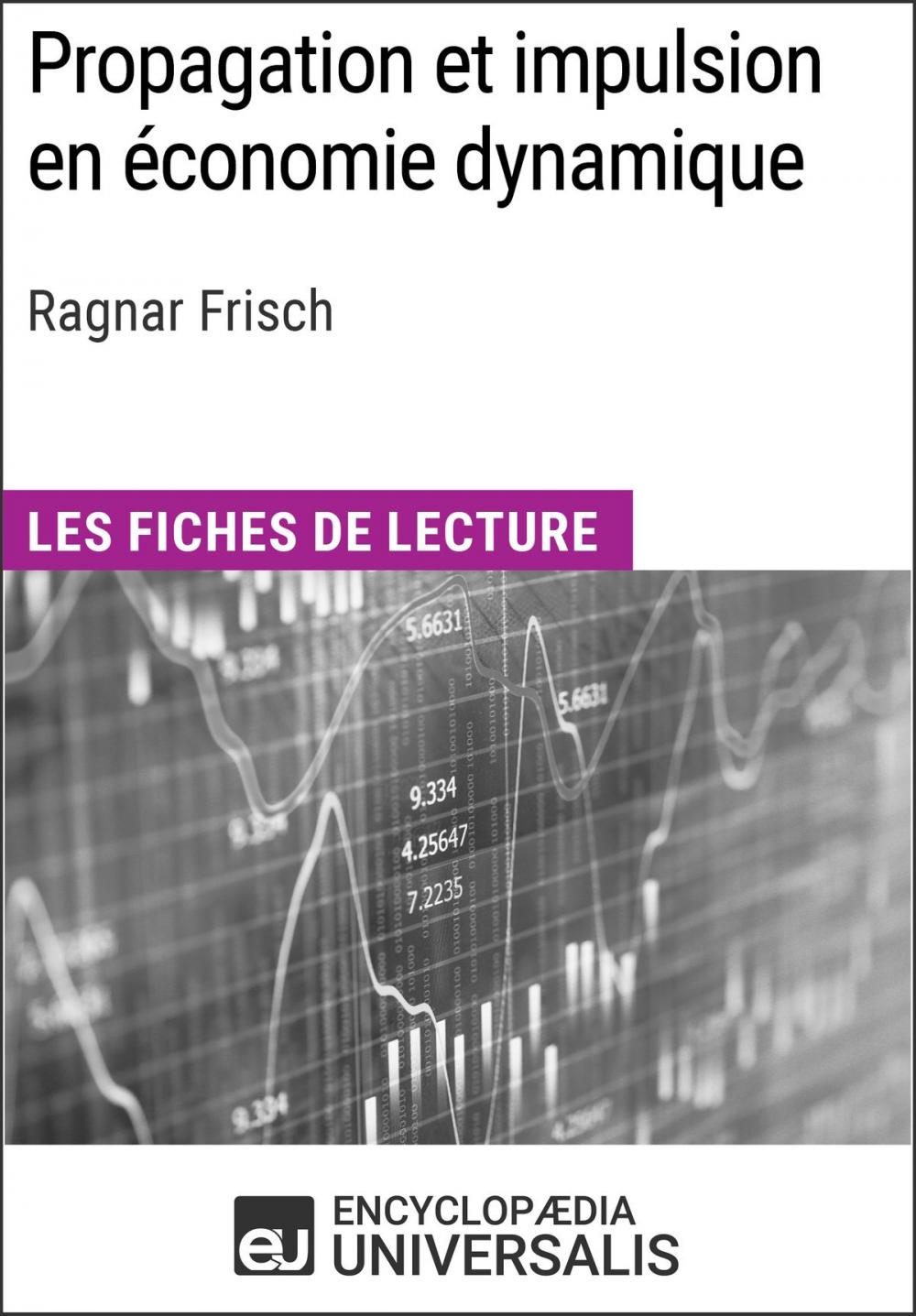 Big bigCover of Propagation et impulsion en économie dynamique de Ragnar Frisch