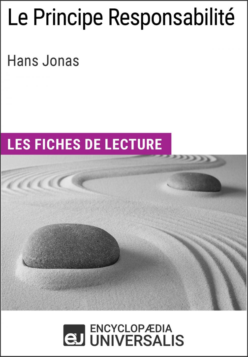 Big bigCover of Le Principe Responsabilité d'Hans Jonas