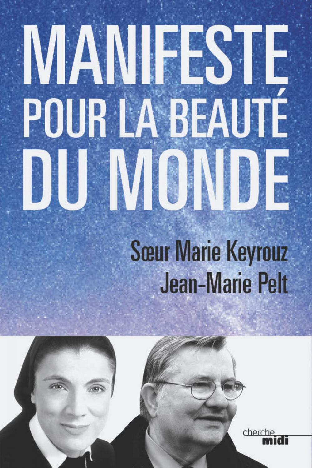 Big bigCover of Manifeste pour la beauté du monde