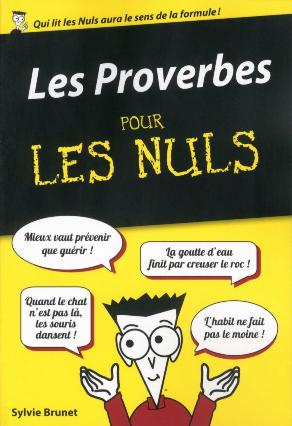 Big bigCover of Les Proverbes pour les Nuls, édition poche