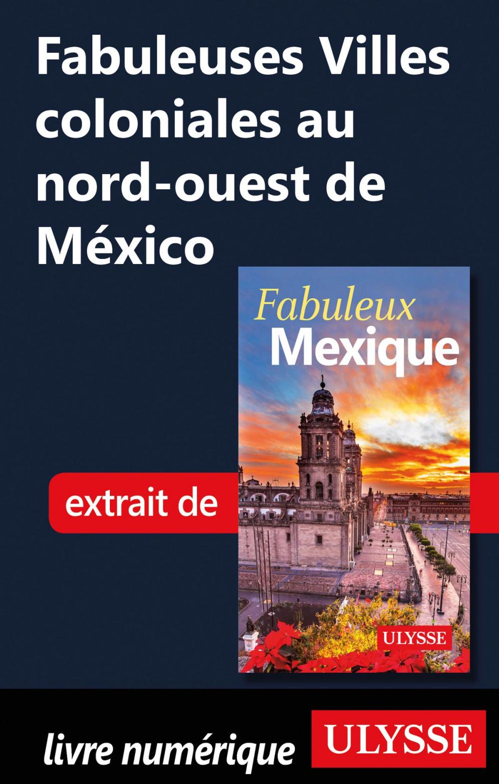 Big bigCover of Fabuleuses Villes coloniales au nord-ouest de México