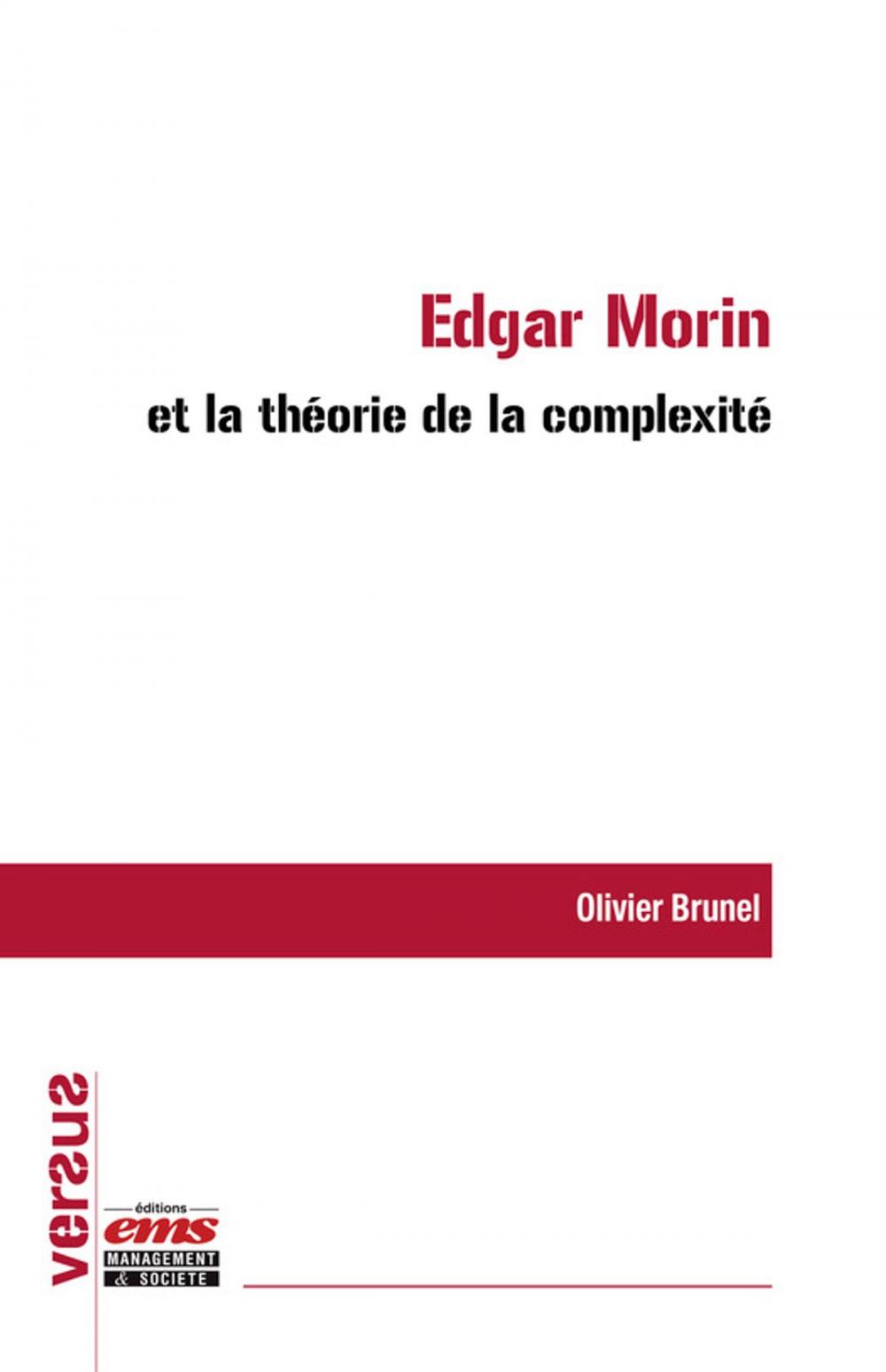 Big bigCover of Edgar Morin et la théorie de la complexité