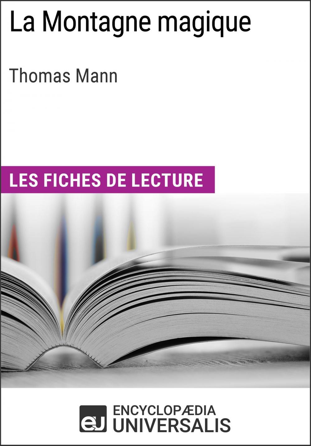 Big bigCover of La Montagne magique de Thomas Mann