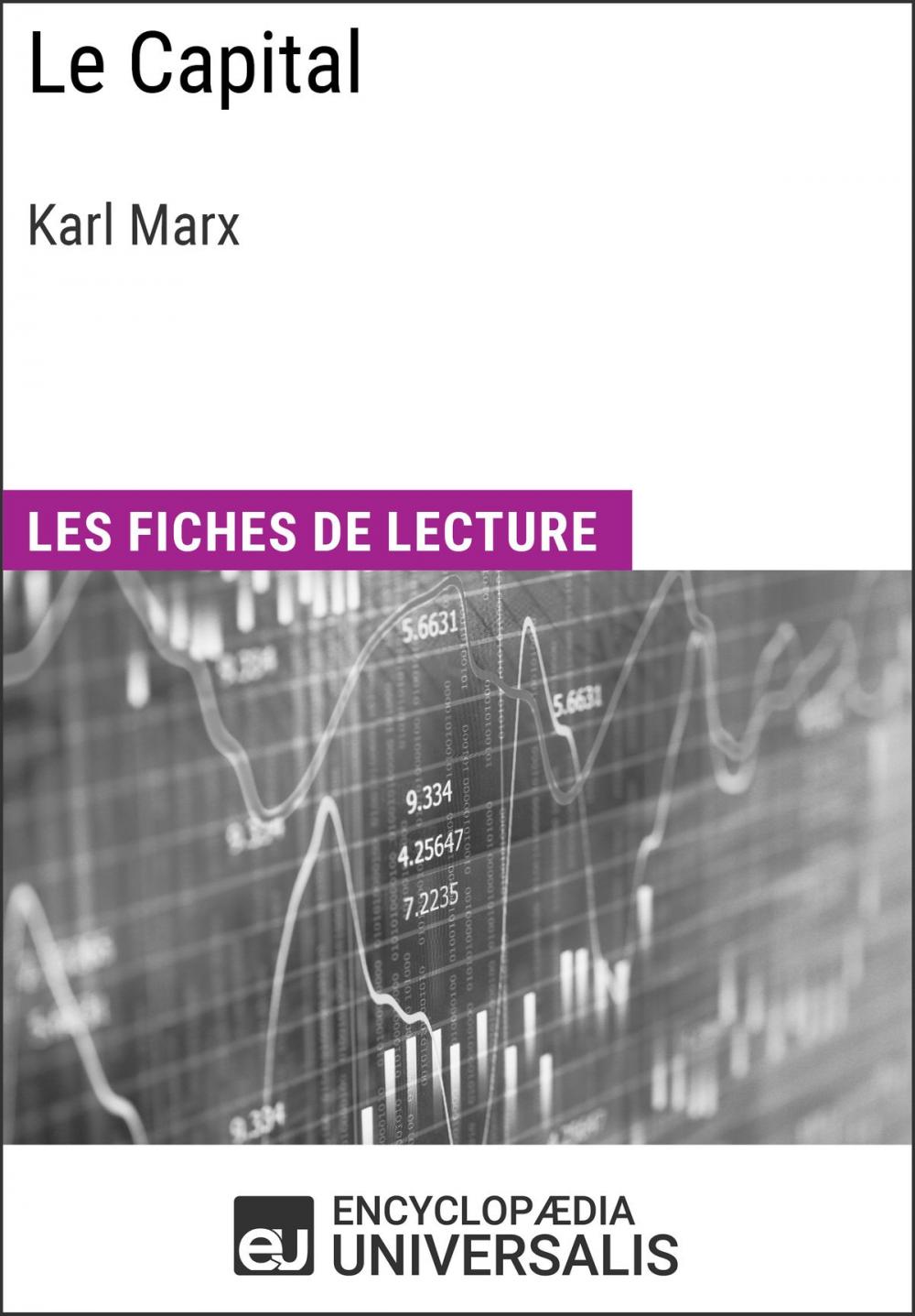 Big bigCover of Le Capital de Karl Marx