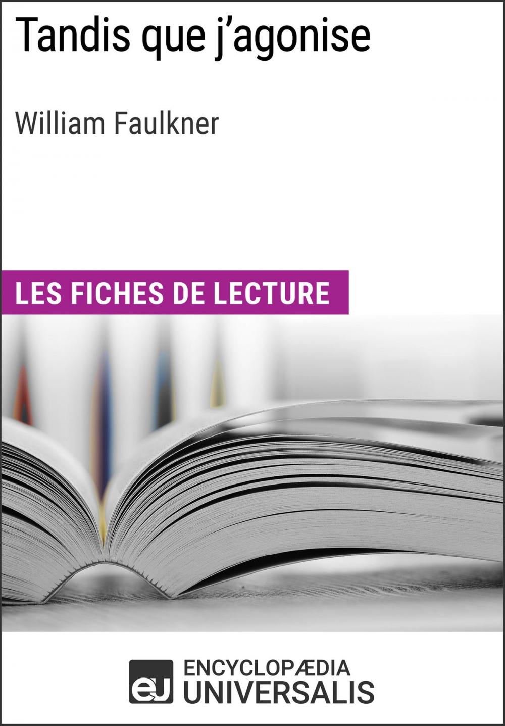 Big bigCover of Tandis que j'agonise de William Faulkner