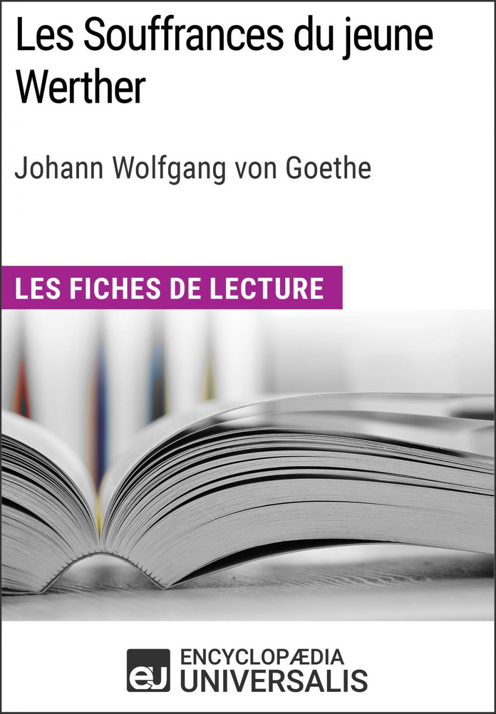 Big bigCover of Les Souffrances du jeune Werther de Goethe