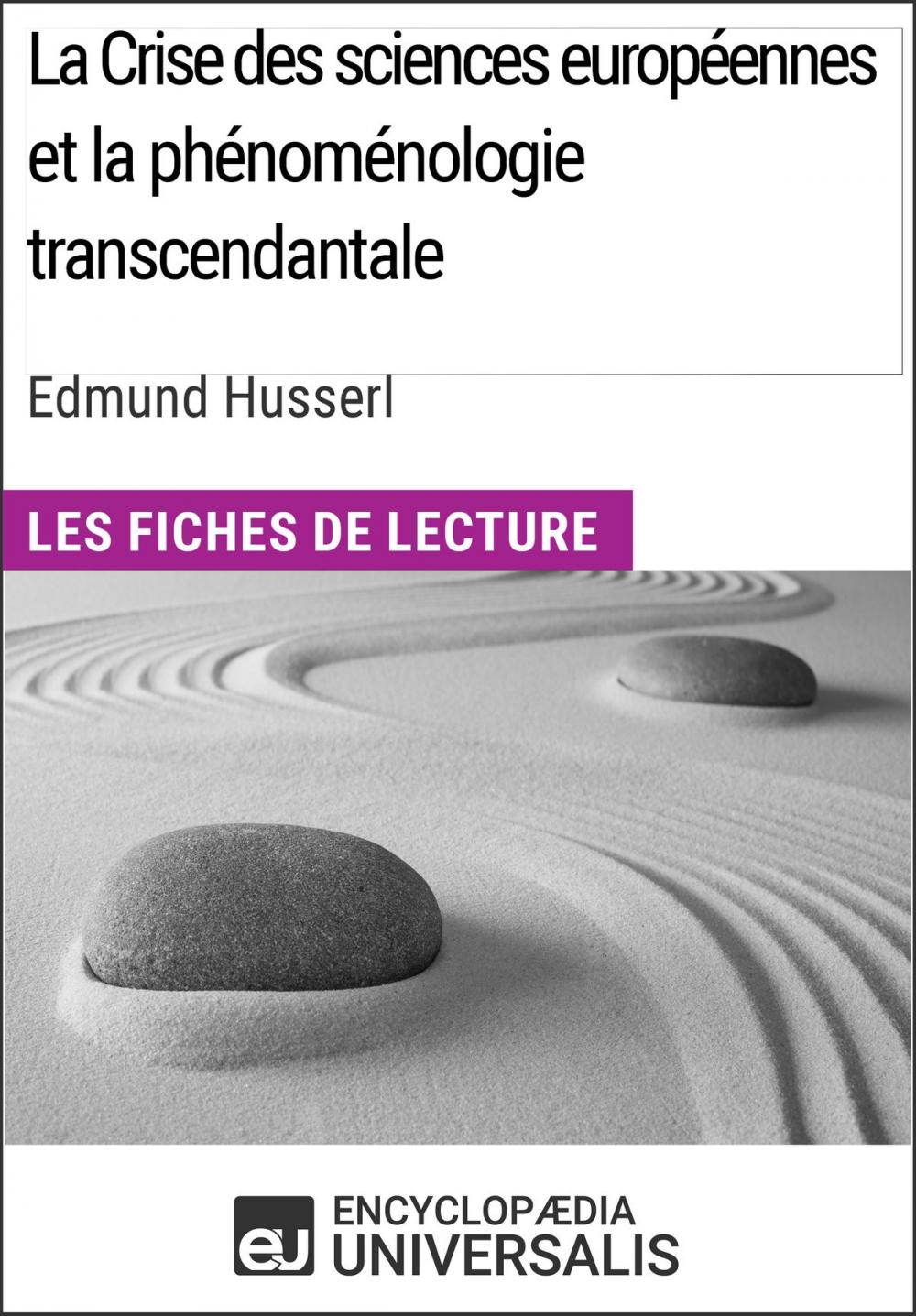 Big bigCover of La Crise des sciences européennes et la phénoménologie transcendantale d'Edmund Husserl